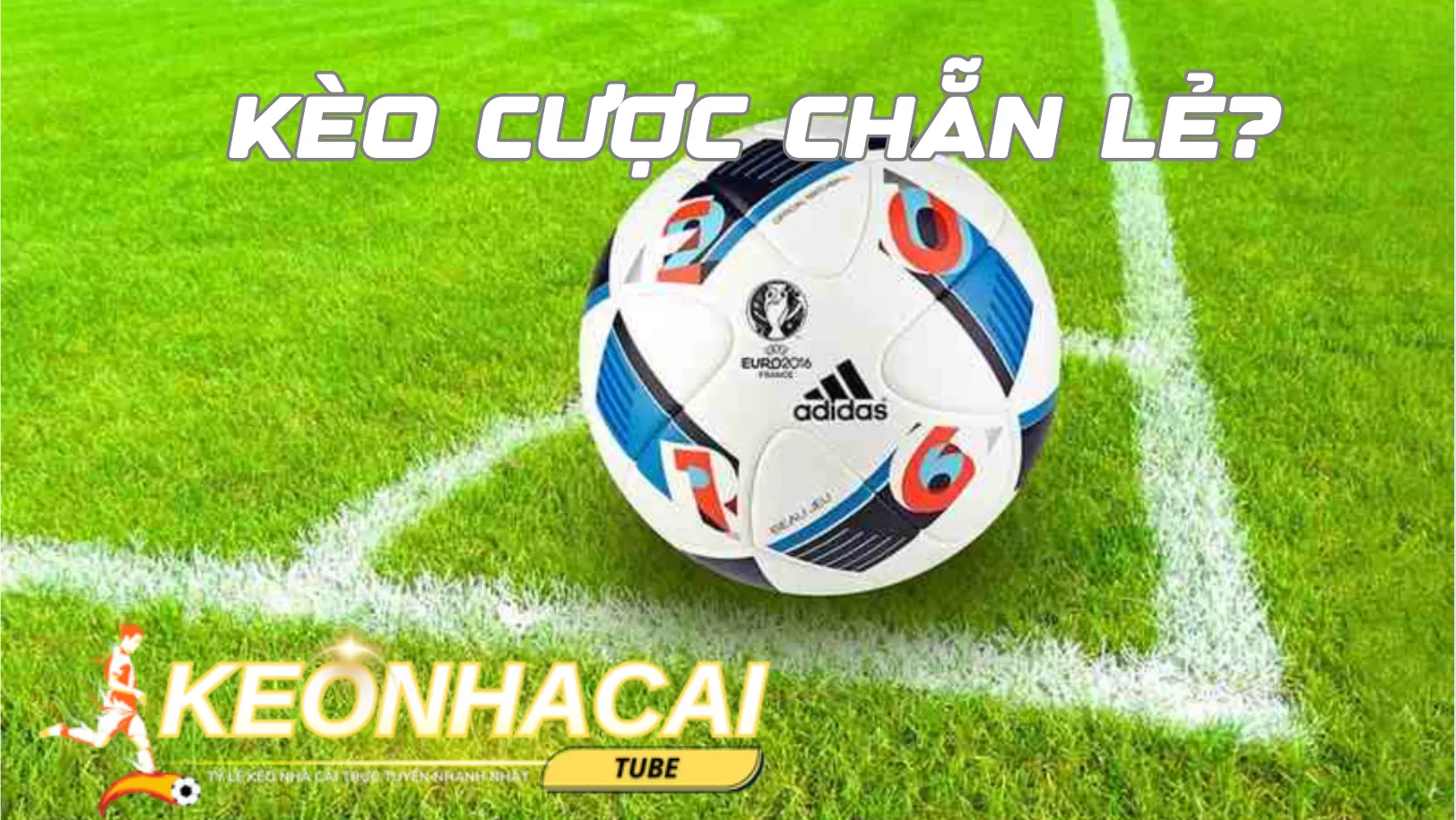 Cần có kinh nghiệm để tham gia cá cược chẵn lẻ