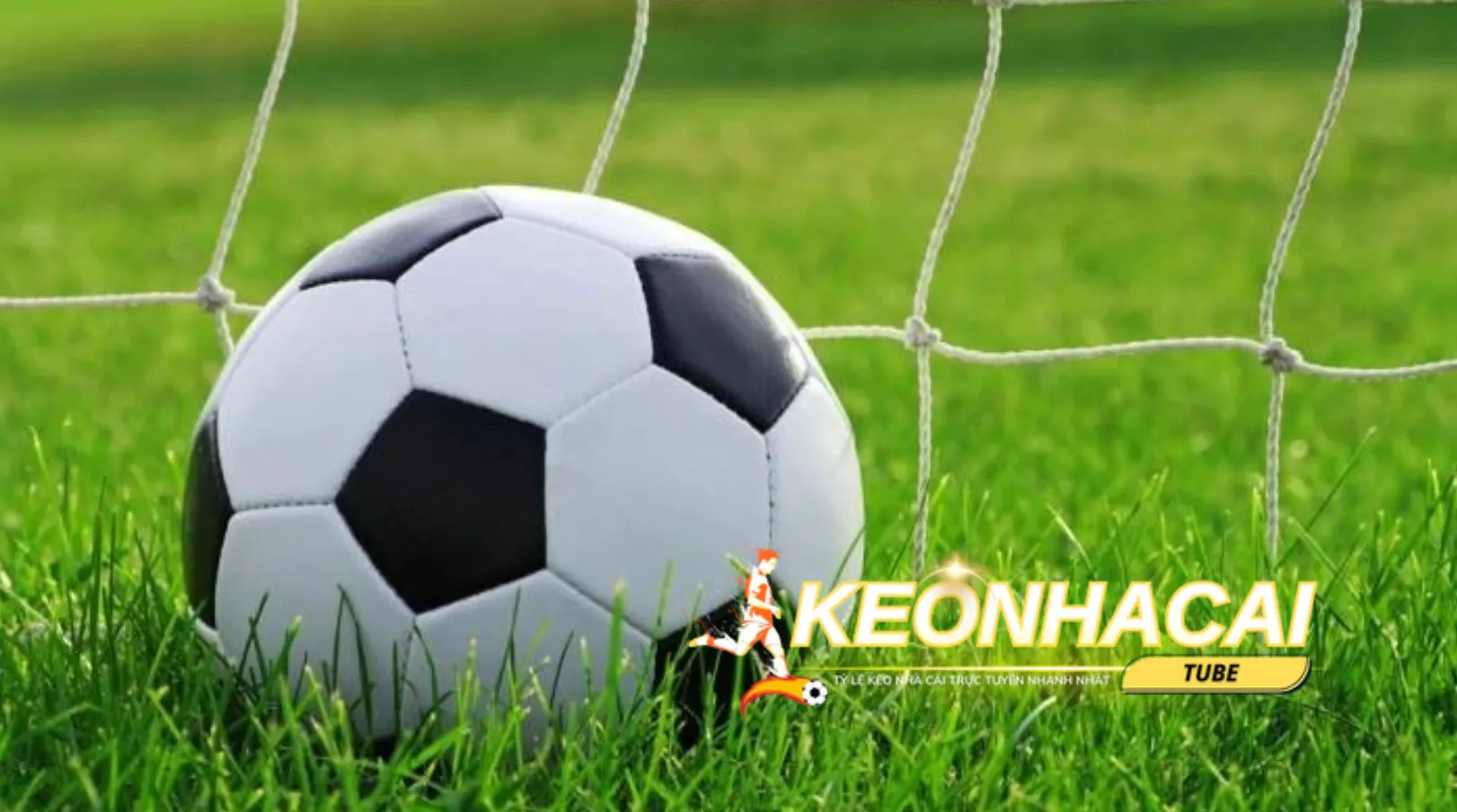 Nên chọn lựa nhà cái uy tín để tham gia đặt cược kèo bóng đá