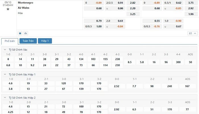 Tỷ lệ kèo Montenegro vs Wales