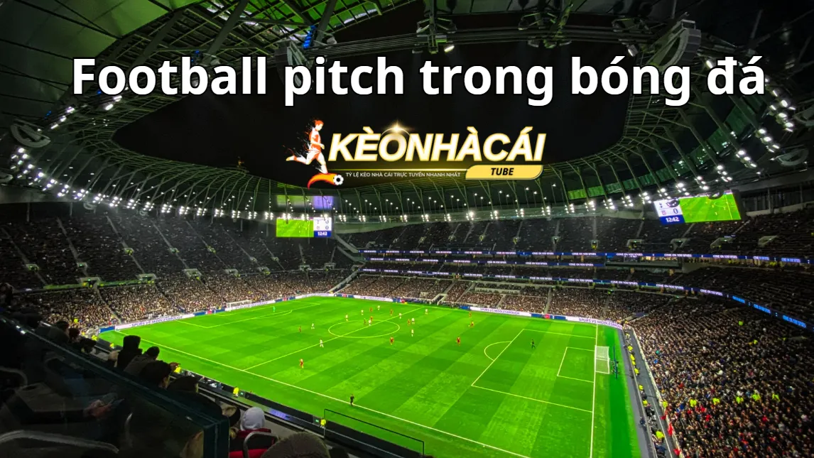 Quy định chung về Football pitch trong bóng đá