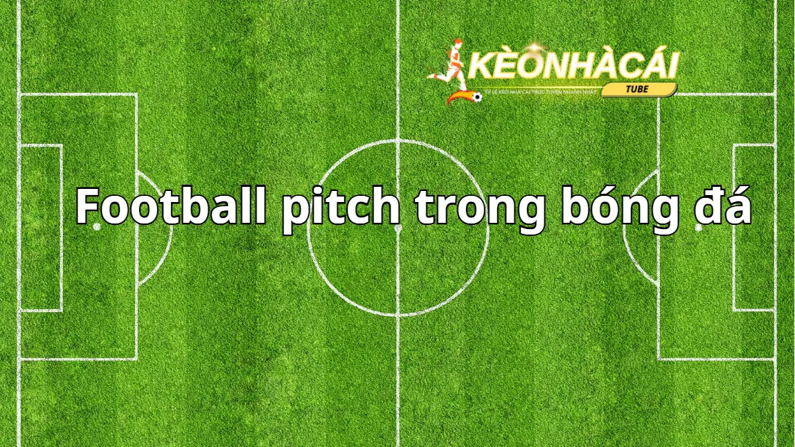 Football pitch trong bóng đá là gì? Là một fan hâm bộ bóng đá nên biết