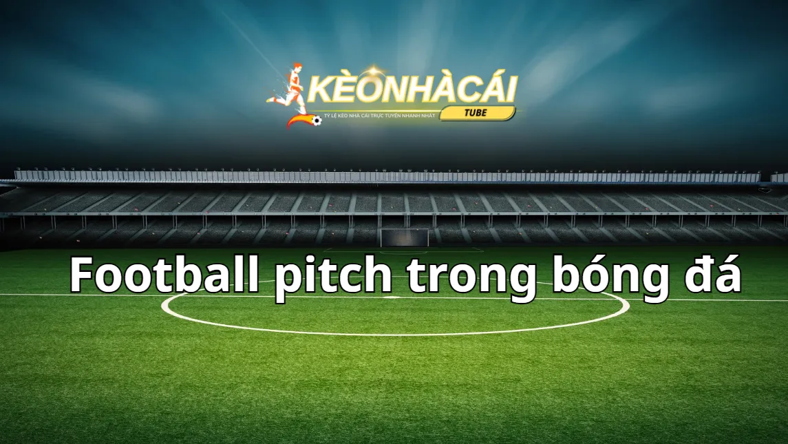 Chiều dài và chiều rộng của sân bóng đạt tiêu chuẩn