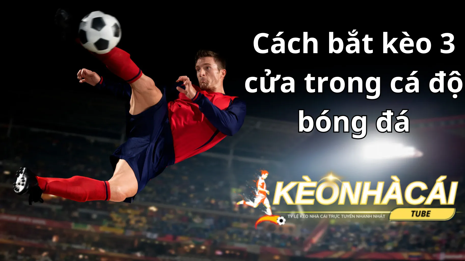 Trau dồi phương pháp bắt kèo từ cao thủ chuyên nghiệp và các chuyên gia