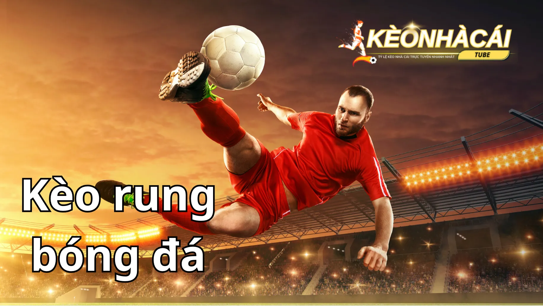 Nên chọn lựa nhà cái uy tín để tham gia cá cược kèo bóng rung