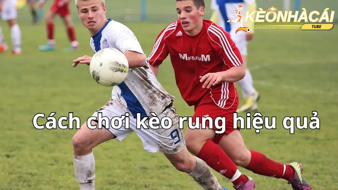 Có cách chơi chuẩn xác nâng cao tỷ lệ thắng với kèo rung