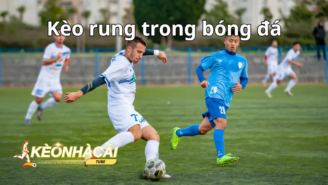 Nắm bắt luật chơi được áp dụng để cá cược thành công