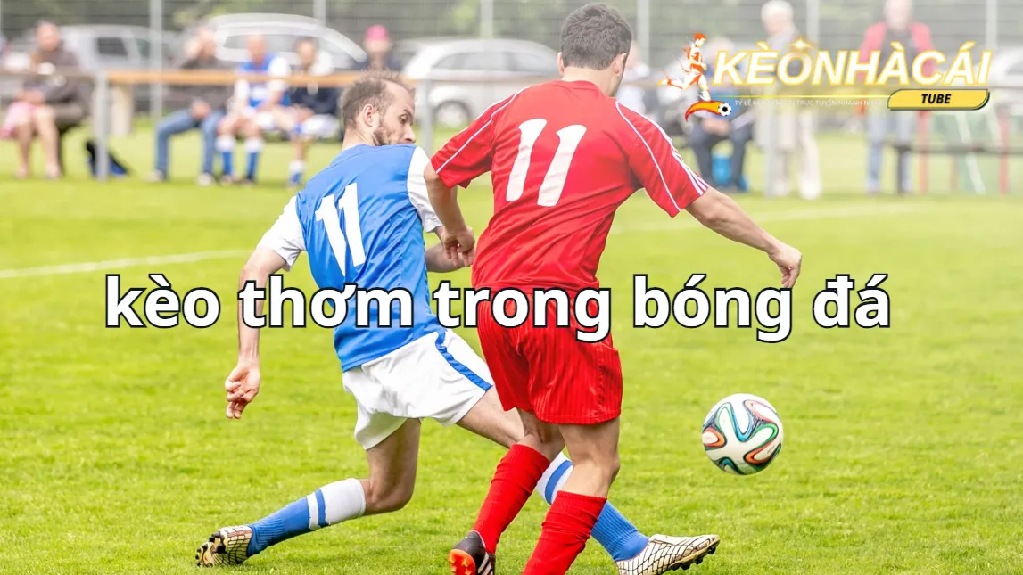 Dựa vào thông tin giải đấu lớn để tìm kiếm kèo thơm