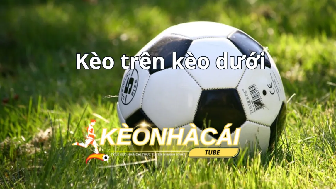 Thông tin cần biết về kèo trên và kèo dưới