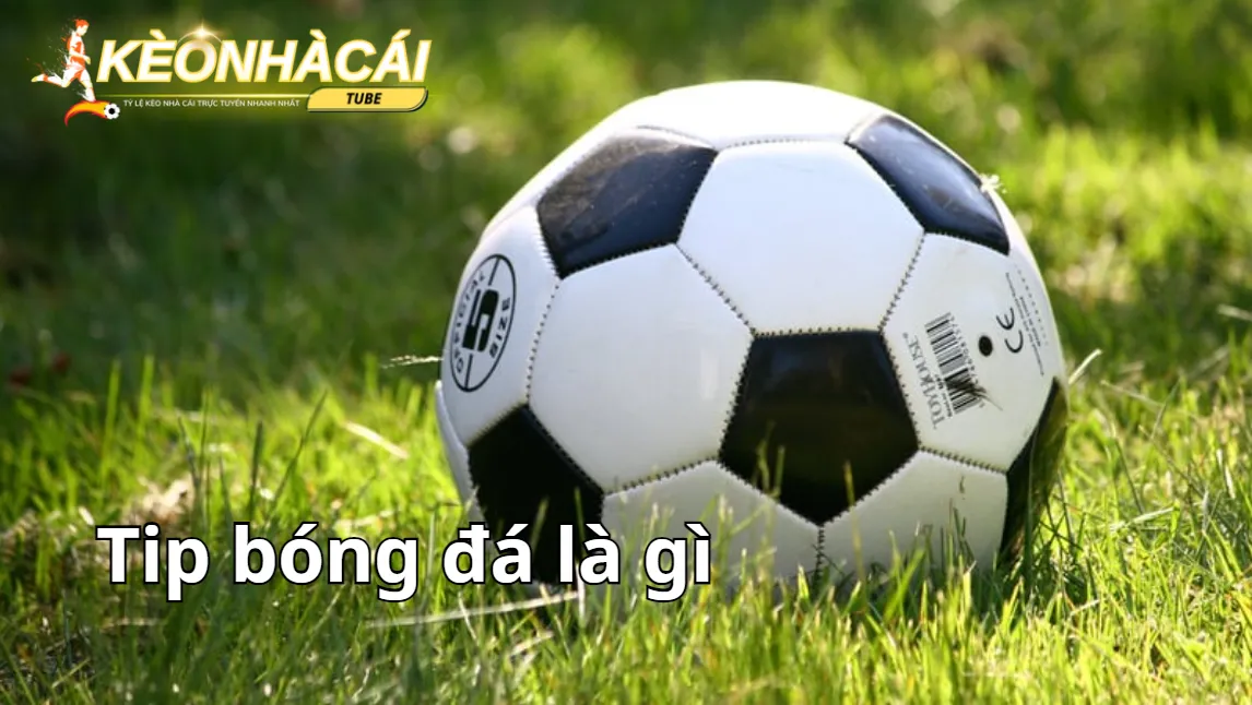 Thông tin cơ bản về Tip bóng đá