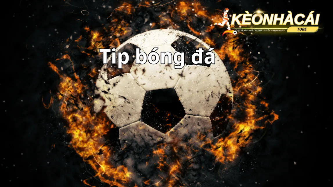 Các loại Tip bóng đá cơ bản
