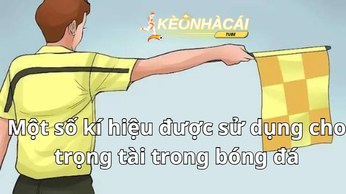 Một số kí hiệu được sử dụng cho trọng tài trong bóng đá