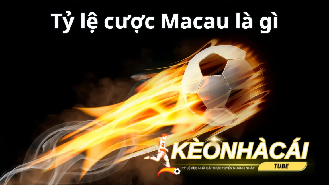 Thông tin về tỷ lệ kèo Macau cân bằng