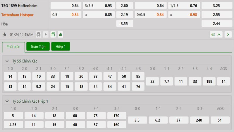 Tỷ lệ kèo Hoffenheim vs Tottenham